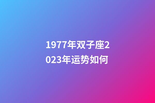 1977年双子座2023年运势如何-第1张-星座运势-玄机派
