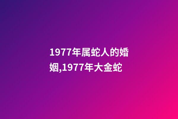 1977年属蛇人的婚姻,1977年大金蛇-第1张-观点-玄机派