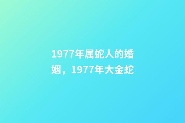 1977年属蛇人的婚姻，1977年大金蛇-第1张-观点-玄机派