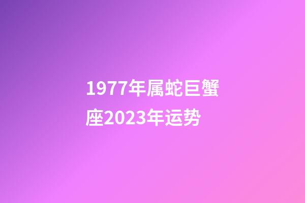 1977年属蛇巨蟹座2023年运势-第1张-星座运势-玄机派