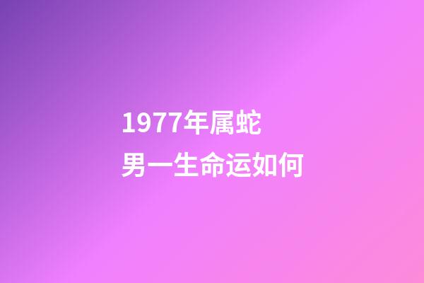 1977年属蛇男一生命运如何(53、65、77年肖蛇人在17年运程)-第1张-观点-玄机派