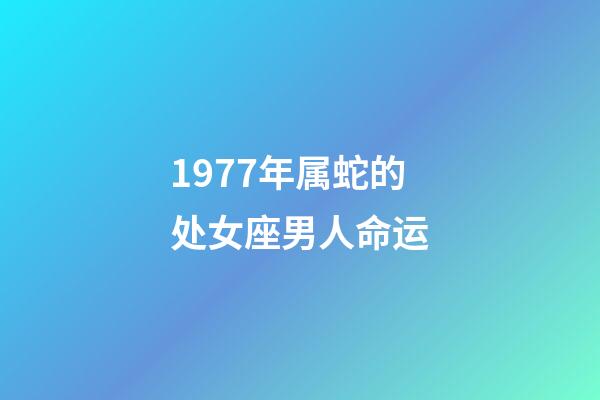 1977年属蛇的处女座男人命运-第1张-星座运势-玄机派