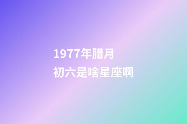 1977年腊月初六是啥星座啊-第1张-星座运势-玄机派