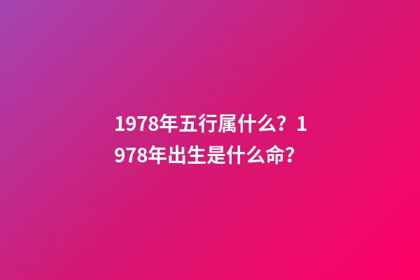 1978年五行属什么？1978年出生是什么命？