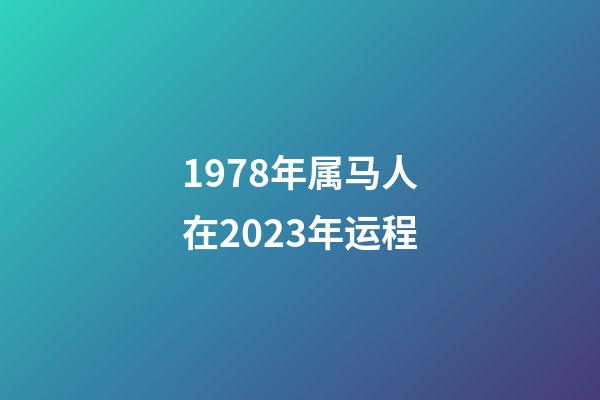 1978年属马人在2023年运程