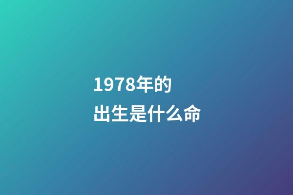 1978年的出生是什么命