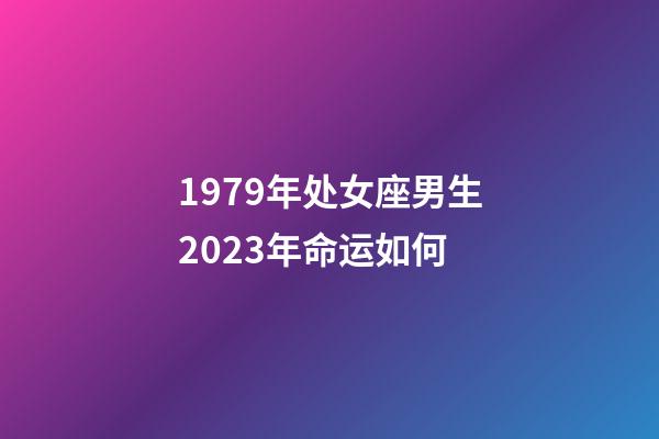 1979年处女座男生2023年命运如何-第1张-星座运势-玄机派
