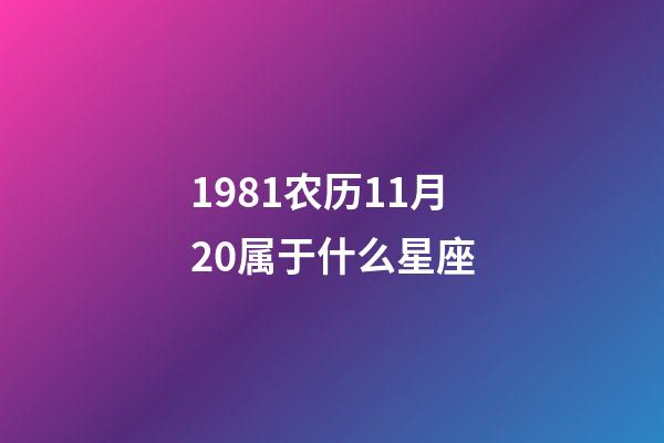1981农历11月20属于什么星座-第1张-星座运势-玄机派