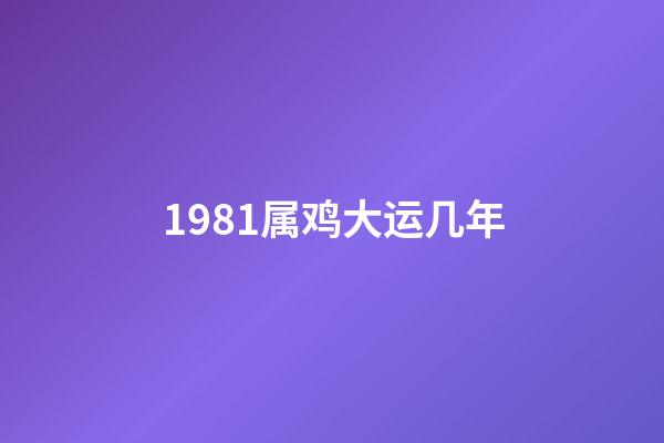 1981属鸡大运几年