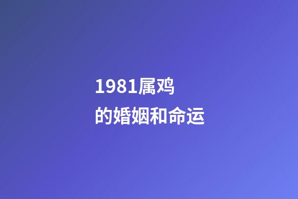 1981属鸡的婚姻和命运
