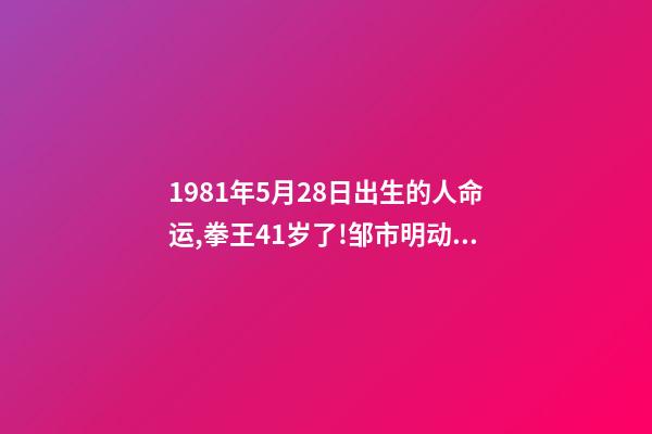 1981年5月28日出生的人命运,拳王41岁了!邹市明动情表白妻子迷恋你的善良-第1张-观点-玄机派