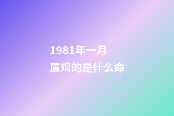 1981年一月属鸡的是什么命(生肖运程：属鸡人的逐月运程)-第1张-观点-玄机派