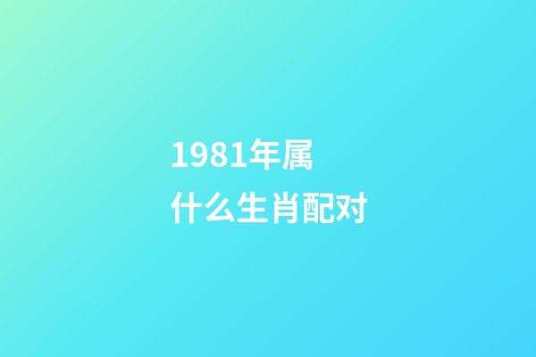 1981年属什么生肖配对