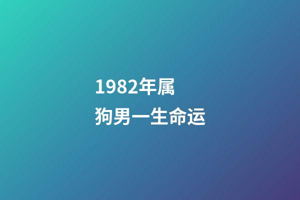 1982年属狗男一生命运(生于1982!2018,迎来人生第3个本命年!)-第1张-观点-玄机派