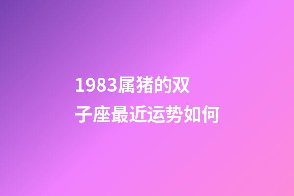 1983属猪的双子座最近运势如何-第1张-星座运势-玄机派