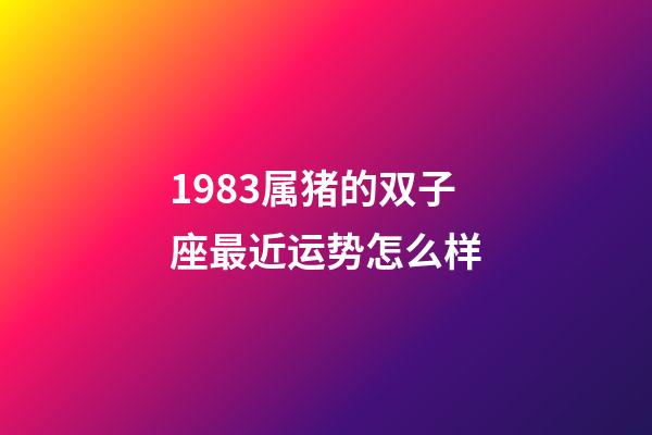 1983属猪的双子座最近运势怎么样-第1张-星座运势-玄机派