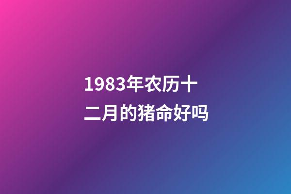 1983年农历十二月的猪命好吗(5年磨一剑，中国女篮成为世界亚军有太多故事可讲)-第1张-观点-玄机派