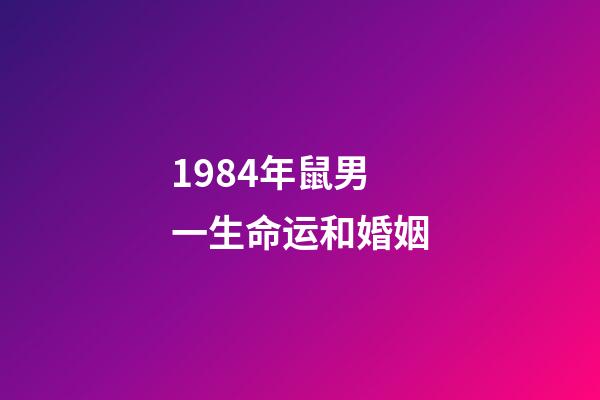 1984年鼠男一生命运和婚姻(2017年生肖运势：1984年生肖鼠的感情运势)-第1张-观点-玄机派