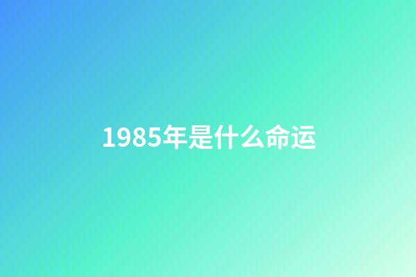 1985年是什么命运(本是龙脉福地，却以九层妖塔著称，命运多舛，如今亦是绝妙的宝地)-第1张-观点-玄机派