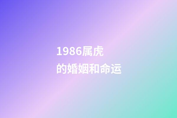 1986属虎的婚姻和命运