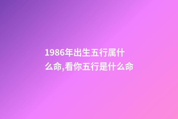1986年出生五行属什么命,看你五行是什么命-第1张-观点-玄机派