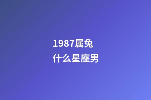 1987属兔什么星座男-第1张-星座运势-玄机派