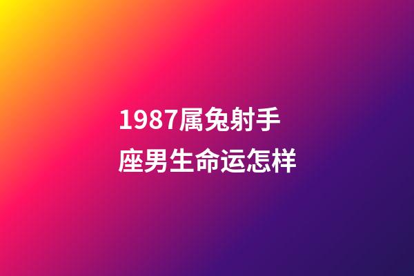 1987属兔射手座男生命运怎样-第1张-星座运势-玄机派