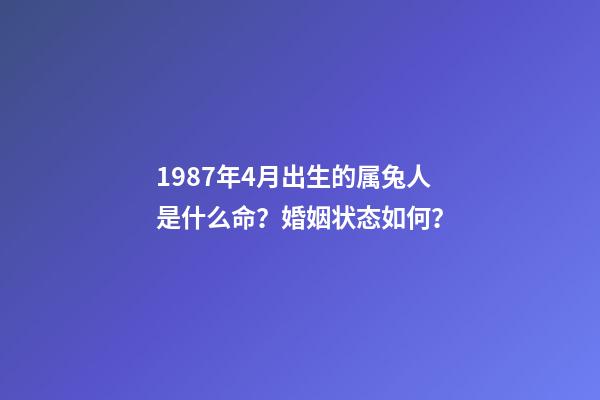 1987年4月出生的属兔人是什么命？婚姻状态如何？