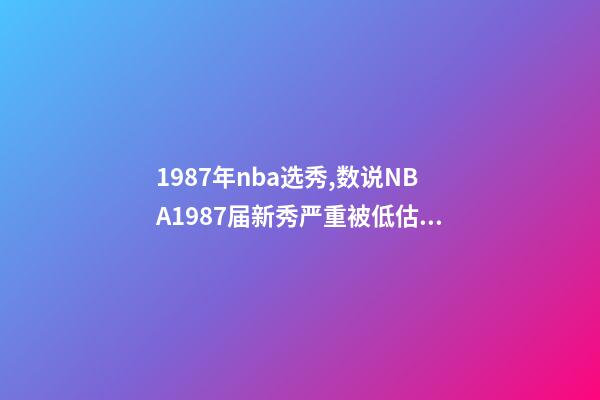 1987年nba选秀,数说NBA1987届新秀严重被低估的一届-第1张-观点-玄机派
