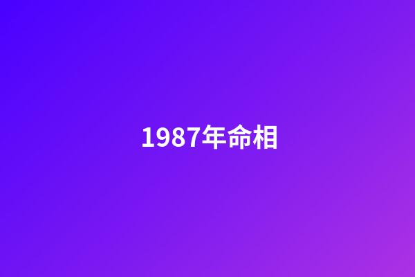 1987年命相