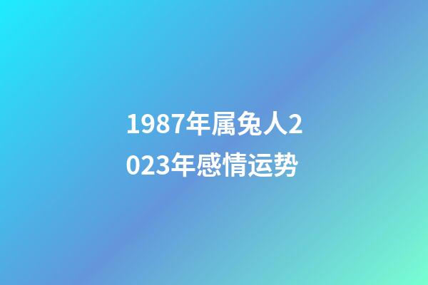 1987年属兔人2023年感情运势