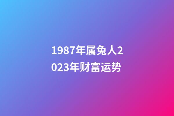 1987年属兔人2023年财富运势
