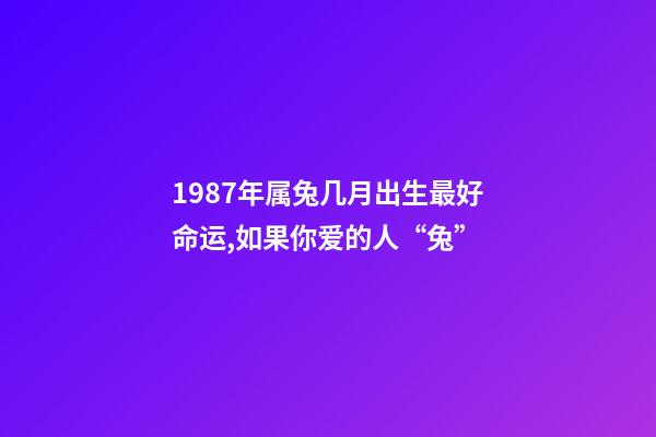 1987年属兔几月出生最好命运,如果你爱的人“兔”-第1张-观点-玄机派