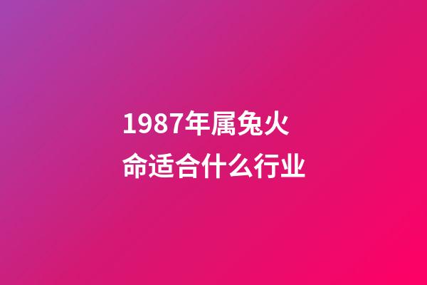 1987年属兔火命适合什么行业(12生肖里,什么生肖会获得意外之财)-第1张-观点-玄机派