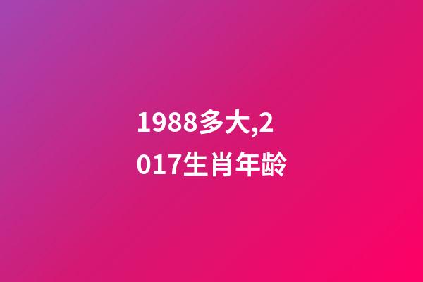1988多大,2017生肖年龄-第1张-观点-玄机派