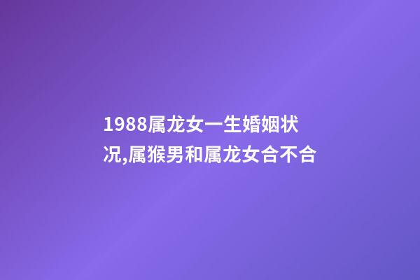 1988属龙女一生婚姻状况,属猴男和属龙女合不合-第1张-观点-玄机派
