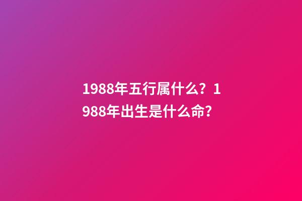 1988年五行属什么？1988年出生是什么命？