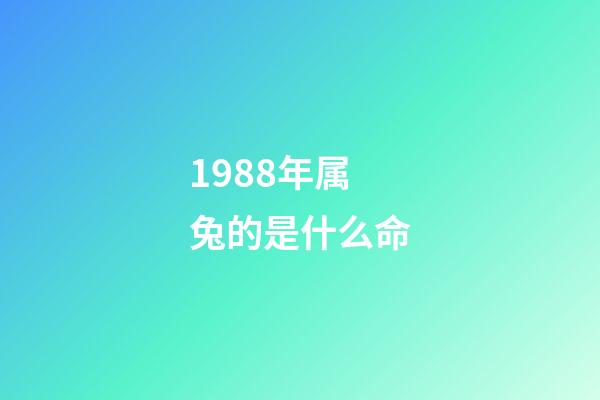 1988年属兔的是什么命(「单身男女」1988年男公务员：有车、房，家庭无负担)-第1张-观点-玄机派