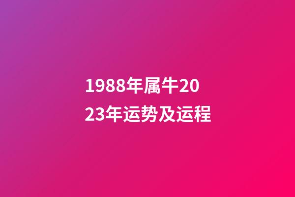 1988年属牛2023年运势及运程