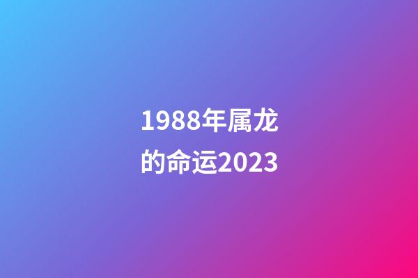 1988年属龙的命运2023(明年桃花运旺,好运接连到来的生肖)-第1张-观点-玄机派