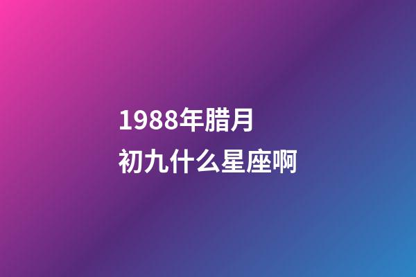 1988年腊月初九什么星座啊-第1张-星座运势-玄机派