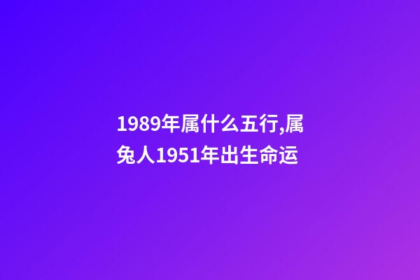 1989年属什么五行,属兔人1951年出生命运-第1张-观点-玄机派