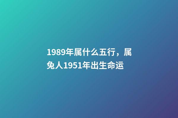 1989年属什么五行，属兔人1951年出生命运-第1张-观点-玄机派