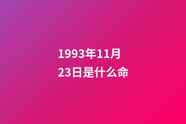 1993年11月23日是什么命(SF9金永斌直言“不打疫苗，我也不会感染”，遭网友围攻后道歉)-第1张-观点-玄机派