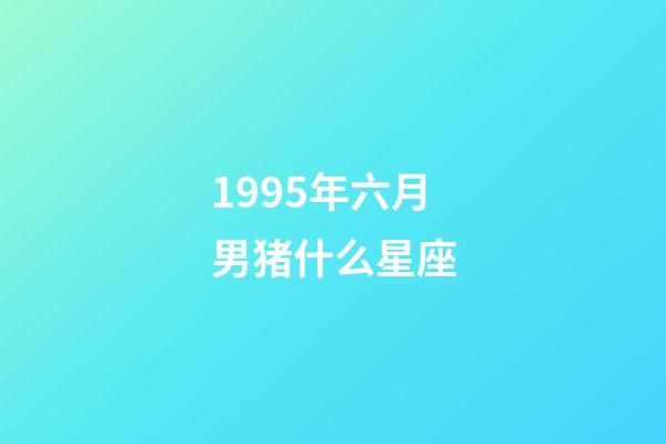 1995年六月男猪什么星座-第1张-星座运势-玄机派