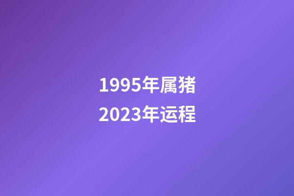 1995年属猪2023年运程