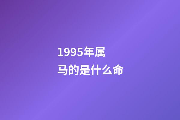 1995年属马的是什么命(十二生肖有哪些是家畜？)-第1张-观点-玄机派