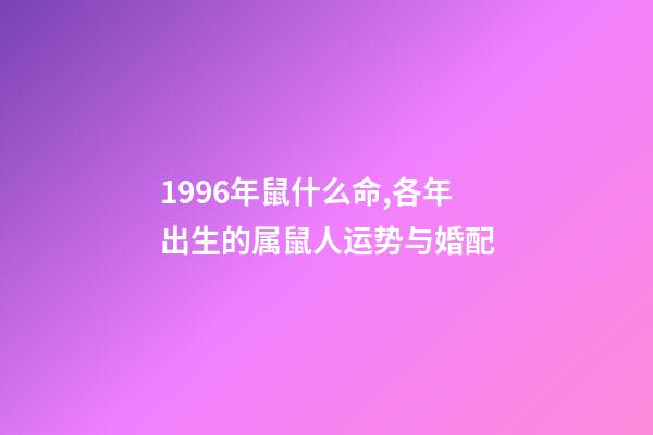 1996年鼠什么命,各年出生的属鼠人运势与婚配-第1张-观点-玄机派