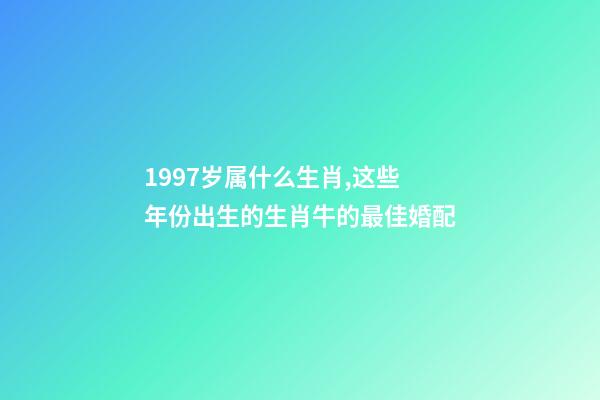 1997岁属什么生肖,这些年份出生的生肖牛的最佳婚配-第1张-观点-玄机派