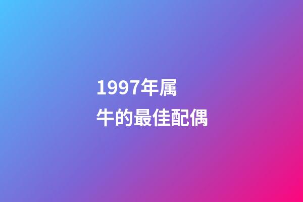 1997年属牛的最佳配偶（97年属牛女的正缘）-第1张-星座运势-玄机派